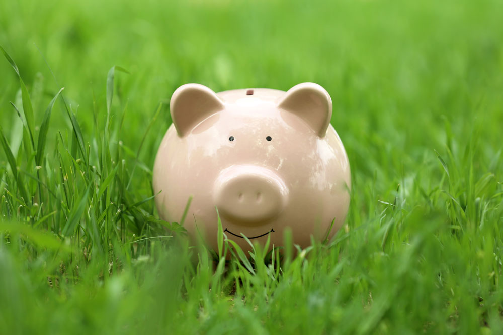 Happy piggy bank in the grass