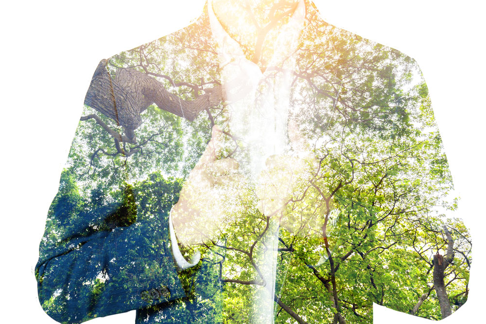 Businessman silhouetted with trees